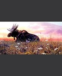 SunsOut Daybreak Moose 500 piece Jigsaw Puzzle for Adults