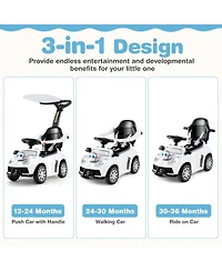 Hongge 3 In 1 Toddler Push Car Ride On Toy With Adjustable Canopy Storage And Handle
