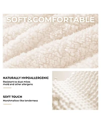 Gaomon Twin Bed Frames Lamb Velvet Twin Beds Cute Platform Bed Frame for Girls, Boys,Sturdy Platform Bed