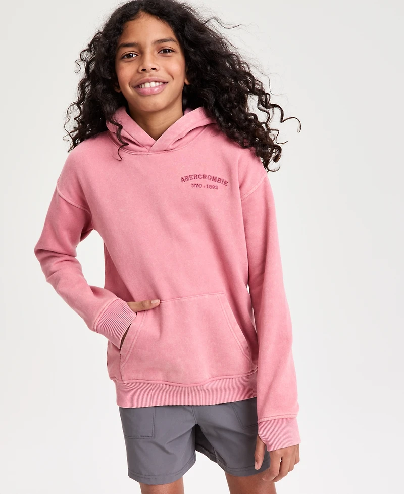 abercrombie kids Boys' Sunfaded Pullover Hoodie
