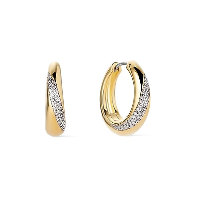 Ana Luisa Hoop Earrings