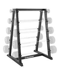 Philosophy Gym 10-Bar Fixed Barbell Weight Rack - Heavy-Duty Storage Holder for Straight & Ez Curl Pre-Weighted Bars