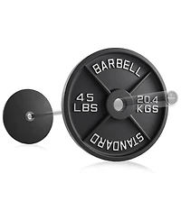 Philosophy Gym Set of 2 Standard Cast Iron Olympic 2-inch Weight Plates (45 Lb each)
