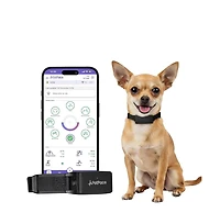 Petpace, Dogs Health Monitoring Collar, Small