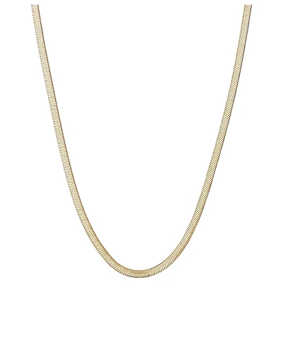 Hey Harper Nassau Choker