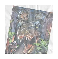 Jurassic Park Men's Giant Door Graphic T-Shirt