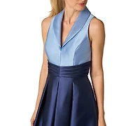 Adrianna Papell Women's Colorblock V-Neck Gown