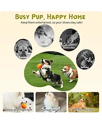 Zachvo Frozen Treat Dog Puzzle Enrichment Ball