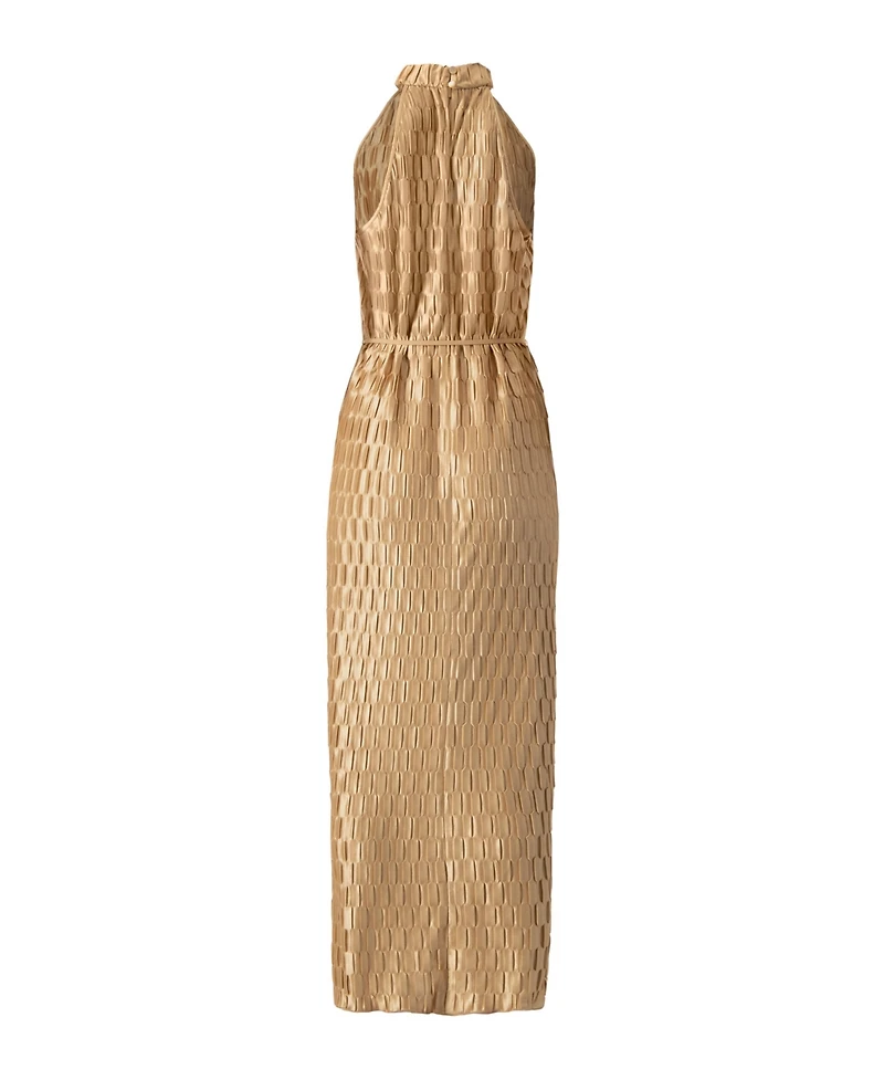 Ivonne Women's Pleated Halter-Neck Long Dress