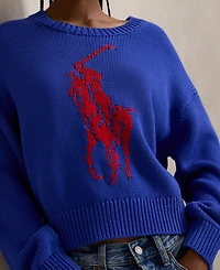 Polo Ralph Lauren Women's Big Pony Crewneck Sweater
