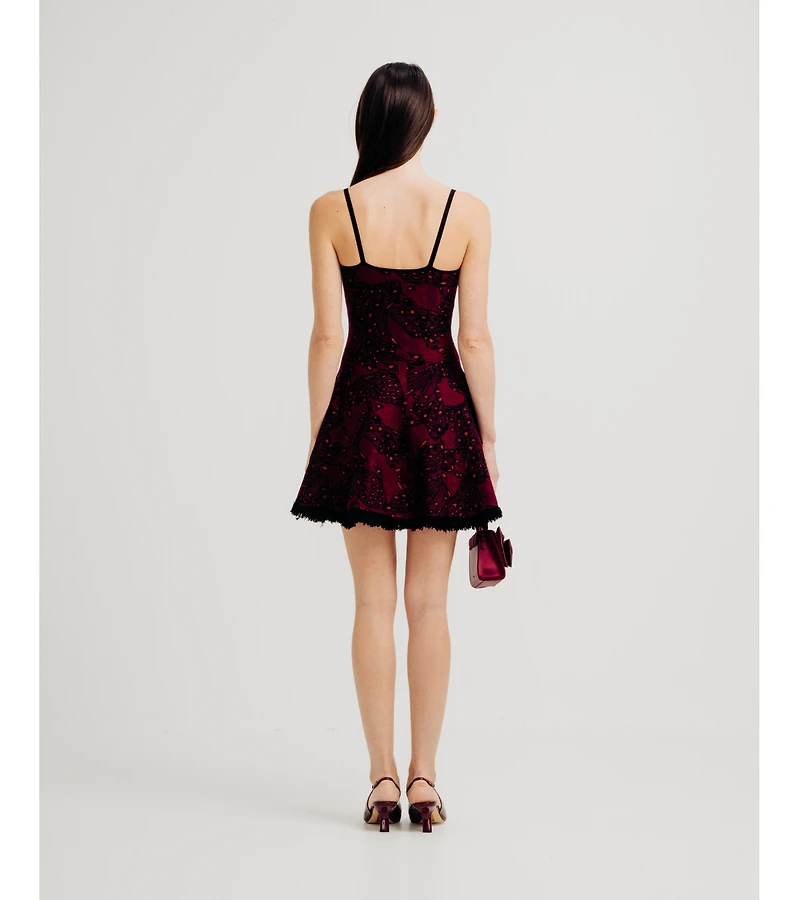 Torn By Ronny Kobo Women's Cassian Dress