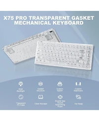 Lofree X75 Pro 82 Key Wireless Hot Swappable Mechanical Gaming Keyboard with Transparent Keycaps,Gasket Mount,BT5.0/2.4G/Usb-c Kailh Jellyfish Switch
