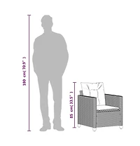 Patio Chair with Cushions Black Poly Rattan