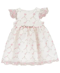 Rare Editions Girls' Toddler 2T-4T Round Neck Embroidery Dress