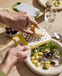 Joseph Joseph Multi-Grate Store 3-in-1 Grater Set with Storage Container
