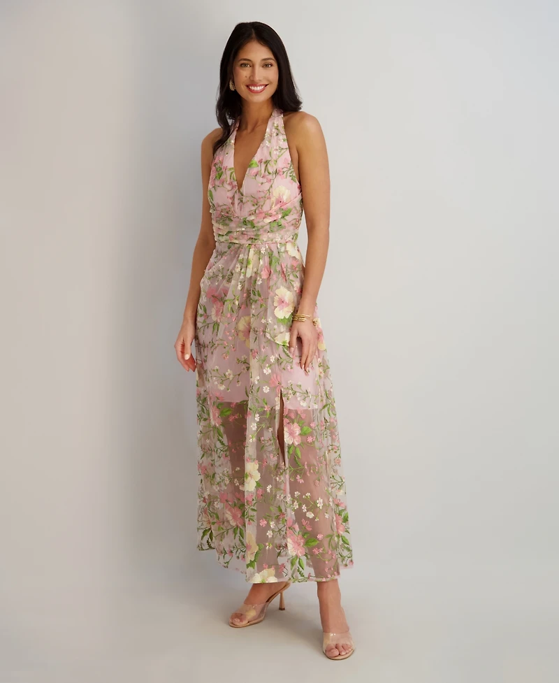 Siena Women's Embroidered V-Neck Mesh Dress