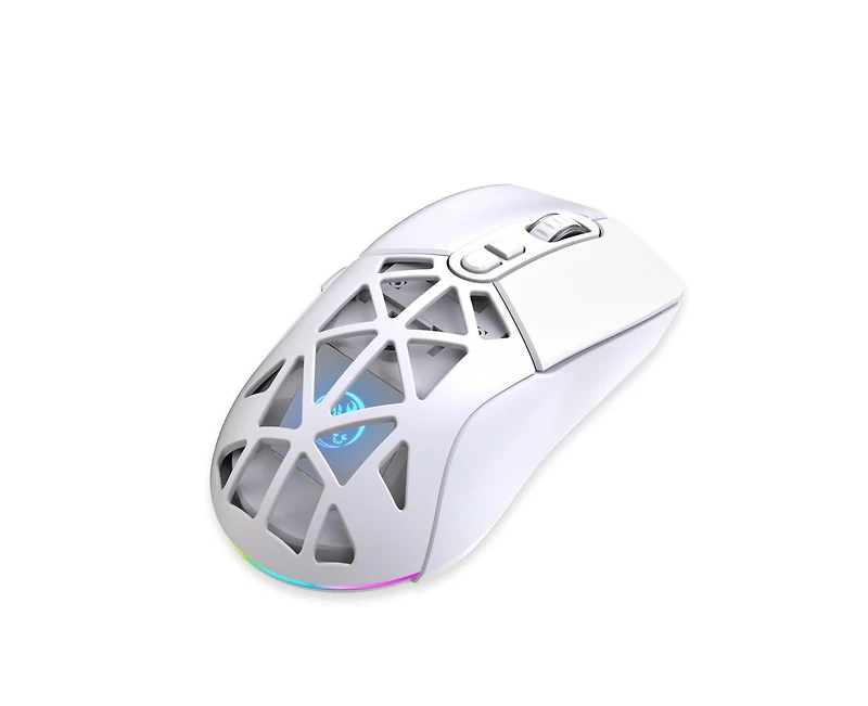 Risokeys Dual-Mode Wireless Gaming Mouse,Rgb Backlit Rechargeable 650mAh,4 Adjustable Dpi 800-4800,Silent Click