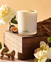 Apotheke Cedarwood Ginger Classic Scented Candle, 10.5 oz.