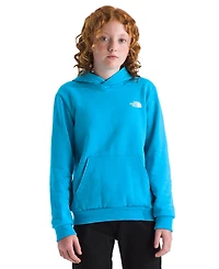 The North Face Boys' and Girls' 7-20 Evolution Box Pull-On Hoodie