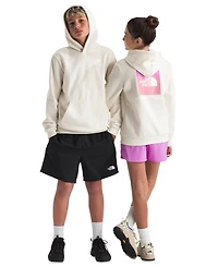 The North Face Girls' and Boys' 7-16 Evolution Box Nse Pull-On Hoodie