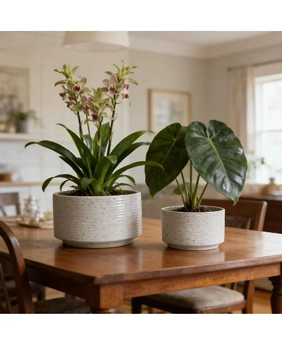 Streamdale Furniture Handmade Ceramic Planter Set (2), 11" & 8" Ridged, Breathable Clay for Plants