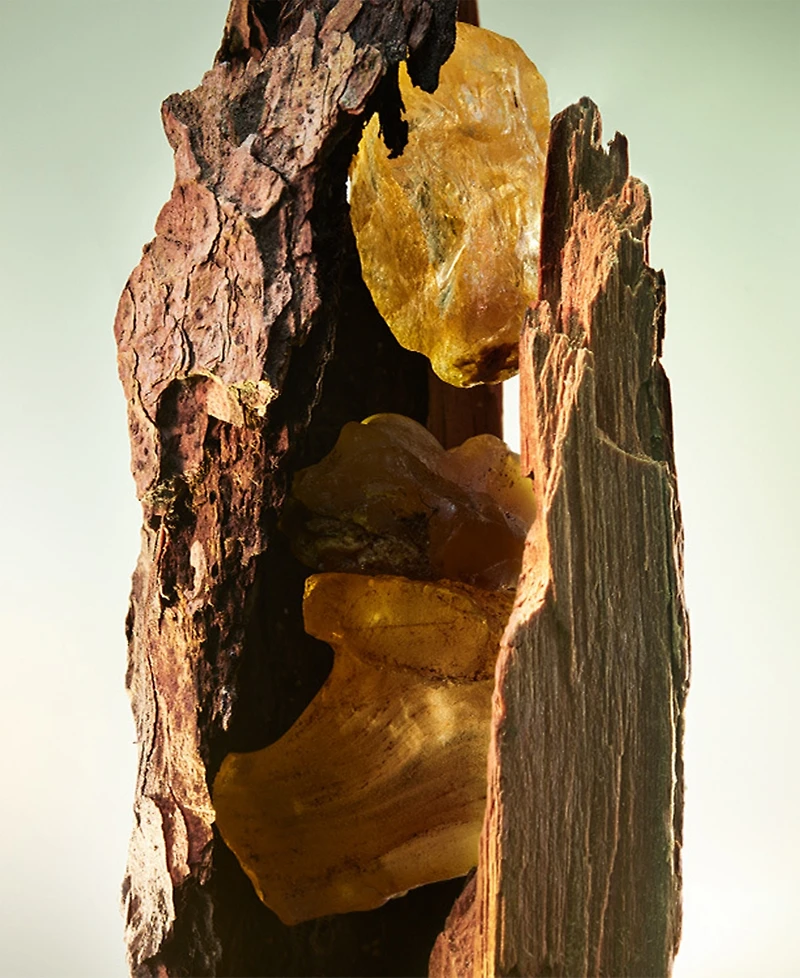 Bvlgari 2-Pc. Man Wood Essence Eau De Parfum Gift Set