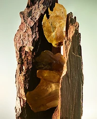 Bvlgari 2-Pc. Man Wood Essence Eau De Parfum Gift Set