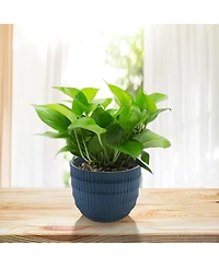 Streamdale Furniture Handmade Ceramic Planter Set of 4, Indoor/Outdoor Flower Pots