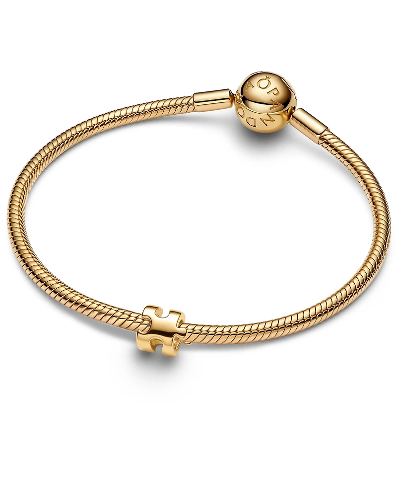 Pandora Puzzle Piece Mini Charm