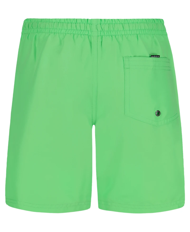 Quiksilver Boys' 8-20 Everyday Liner Volley Shorts