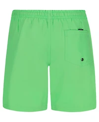 Quiksilver Boys' 8-20 Everyday Liner Volley Shorts