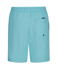 Quiksilver Boys' 8-18 Everyday Liner Volley Shorts