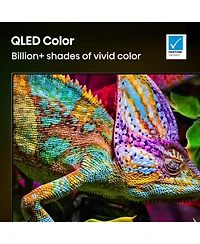 Hisense 116U75QG 116" 4K Uled Mini-led U75 Series Smart Google Tv (2025)