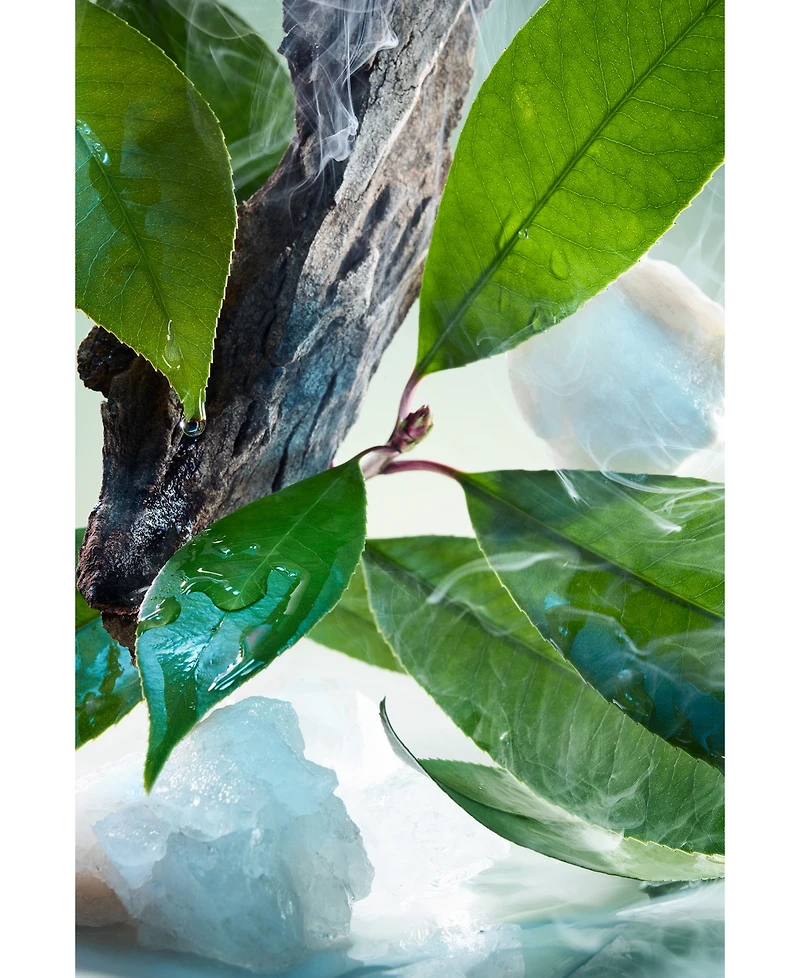 Bvlgari 3-Pc. Pour Homme Eau De Parfum Gift Set