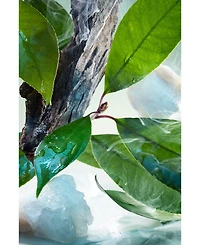 Bvlgari 3-Pc. Pour Homme Eau De Parfum Gift Set