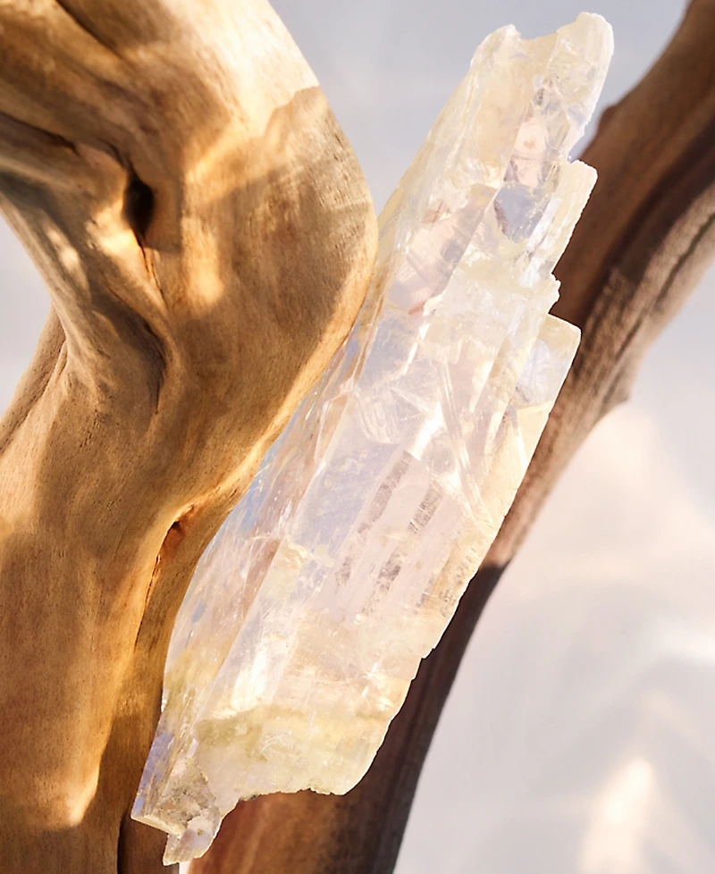 Bvlgari 2-Pc. Omnia Crystalline Eau De Parfum Gift Set