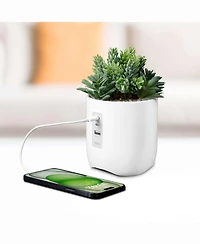 iHome Power Plant Faux Succulent Usb Charging Station