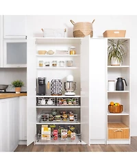 Florida Brands Pull Out Cabinet Organizer, Individual Sliding Drawers