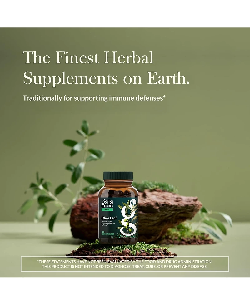 Gaia Herbs Olive Leaf - Traditional Immune Health Support - Immune System Supplement with Olive Leaf Extract and Oleuropein