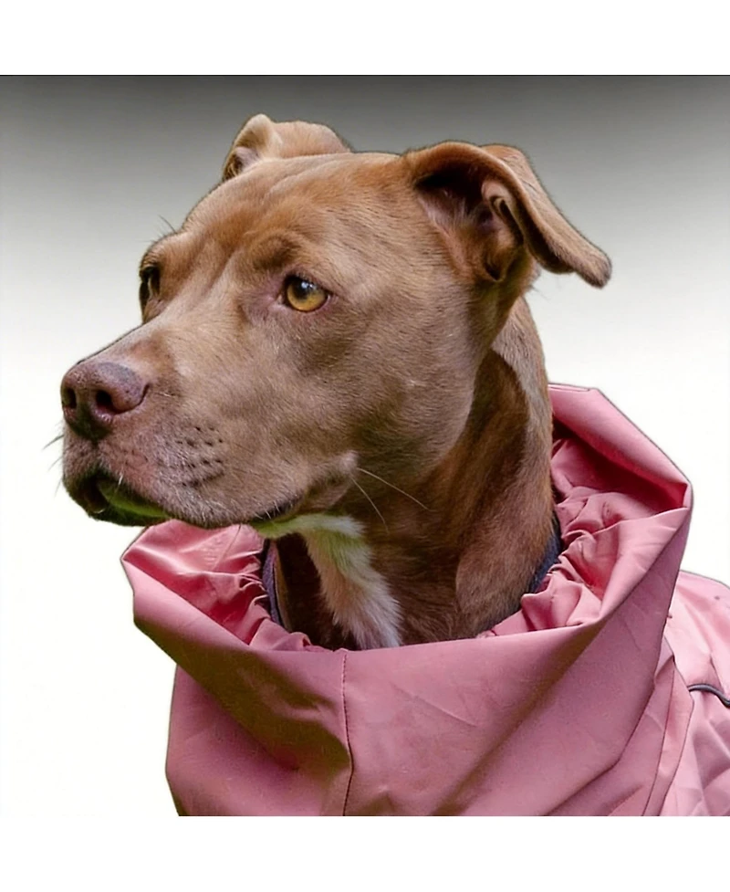Aronkl Dog Raincoat - Waterproof, Windproof, Reflective, Breathable