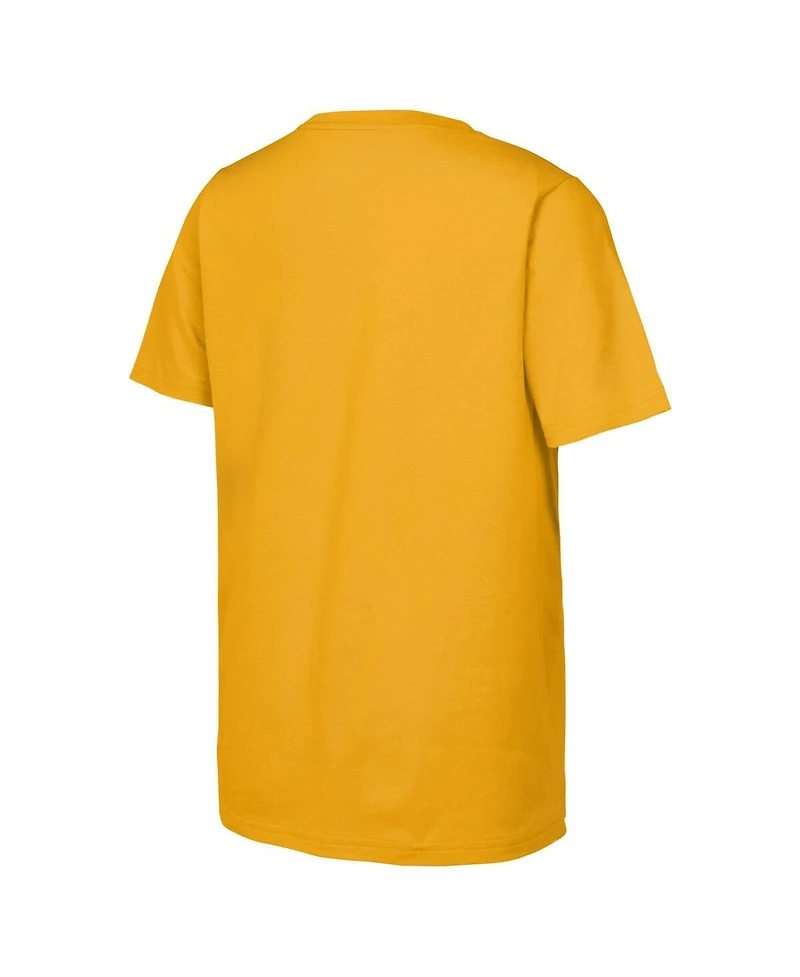 Fanatics Big Boys and Girls Gold Boston Bruins 2026 Nhl Stadium Series Authentic Locker Room T-Shirt