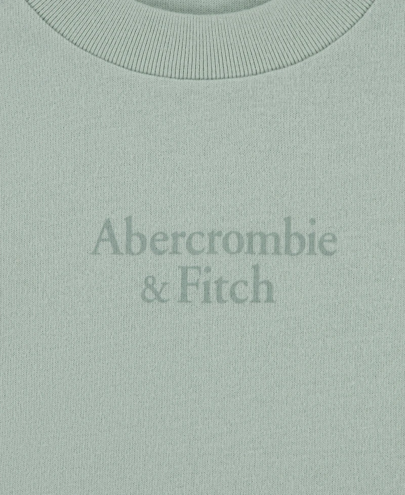 abercrombie kids Boys' Logo Classic T-shirts