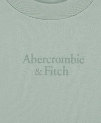 abercrombie kids Boys' Logo Classic T-shirts