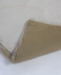 Rizzy Home Charlotte Velvet Decorative Pillow, 22" x 22"