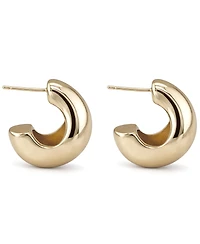 And Now This Oblong C-Hoop Earrings