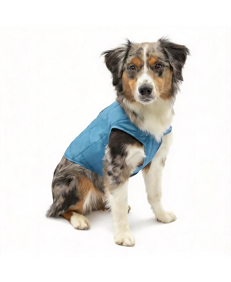 Aronkl Loft Dog Jacket: Insulated, Reversible, Water-Resistant, Reflective