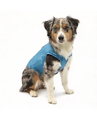 Aronkl Loft Dog Jacket: Insulated, Reversible, Water-Resistant, Reflective