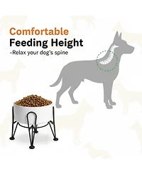 Aronkl Elevated Dog Ceramic Bowl Set 2 Pack with Anti-slip Non-tip Metal Stand for Dogs Food Water Feeding