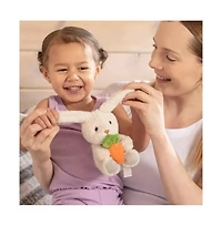Sperric Easter Plush Bunny & Pop It Toys Bundle, Soft Baby Bunny Holding Carrot and 3-Pack Rainbow Bunny, Chicken & Egg Pop Fidget Toys