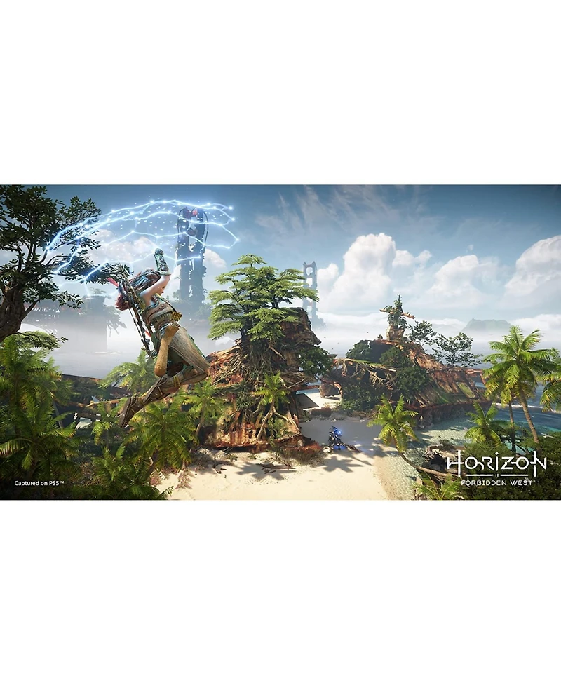 Sony Horizon Forbidden West